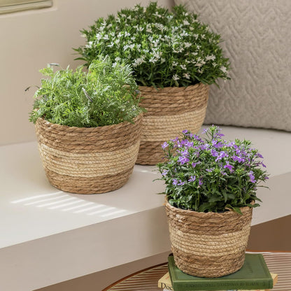 Seagrass Planter Basket Indoor Outdoor, Flower Pots Cover, Plant Containers, Beige, 10 Inch